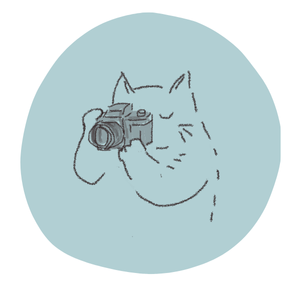 Illustrations, Photography